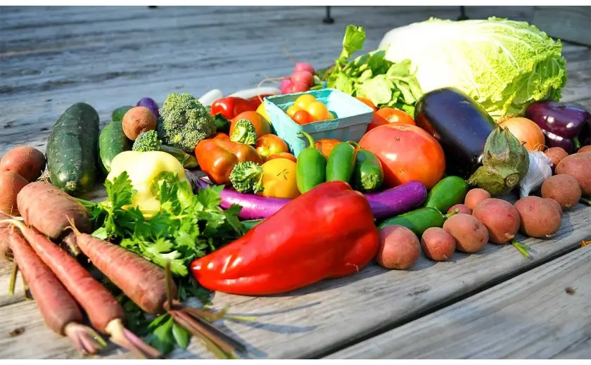 Naučno verifikovana organska istina